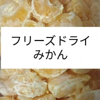 画像233