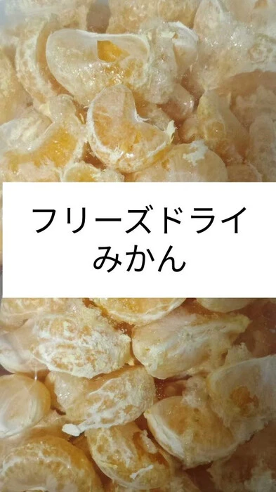 画像233